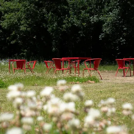 Adelaerthoeve Logies & Ontbijt Couette-café 4*