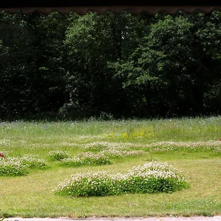 Couette-café Adelaerthoeve Logies & Ontbijt Arnhem