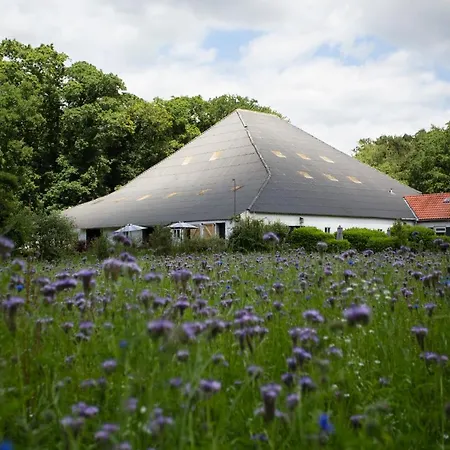 Adelaerthoeve Logies & Ontbijt Couette-café