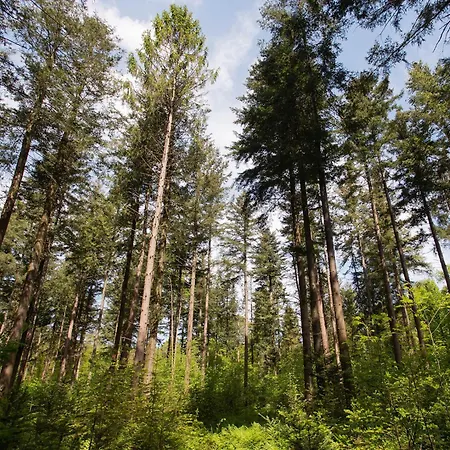 Couette-café Adelaerthoeve Logies & Ontbijt 4*