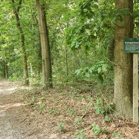 Adelaerthoeve Logies & Ontbijt