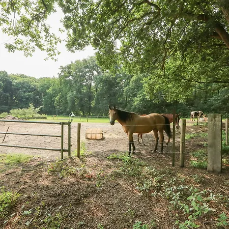 Adelaerthoeve Logies & Ontbijt Couette-café 4*