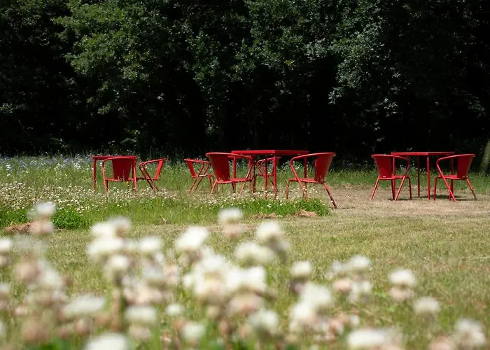 Adelaerthoeve Logies & Ontbijt Frühstückspension 4*