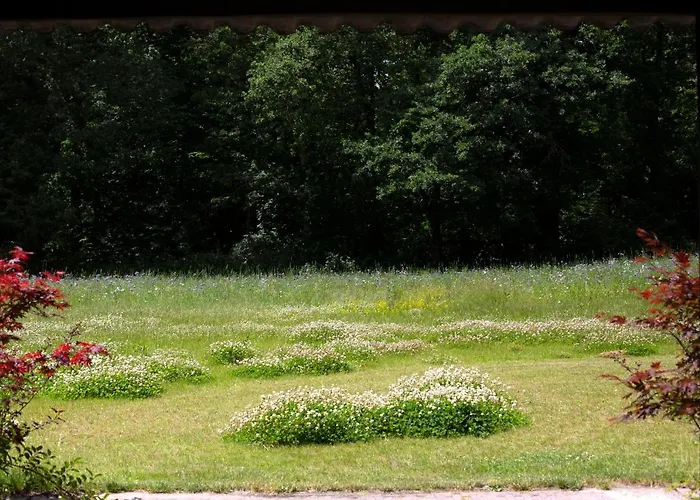 לינה וארוחת בוקר Adelaerthoeve Logies & Ontbijt ארנהיים