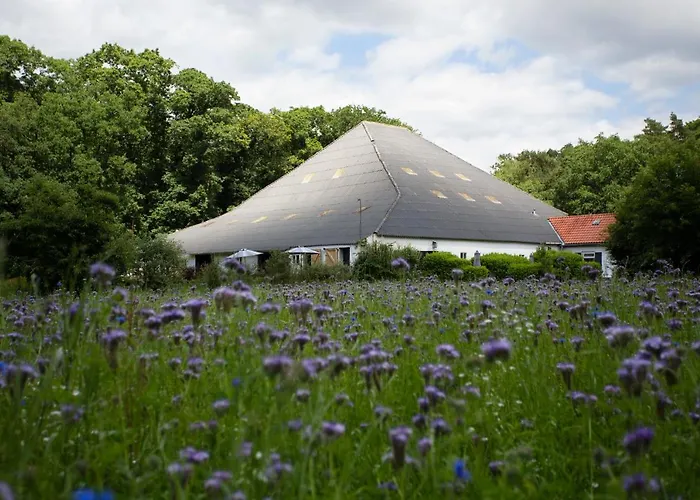 Adelaerthoeve Logies & Ontbijt Nocleg ze śniadaniem