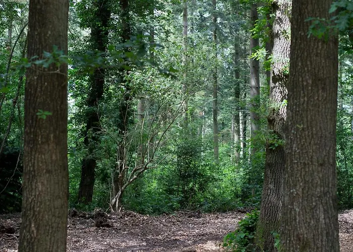 Nocleg ze śniadaniem Adelaerthoeve Logies & Ontbijt 4*