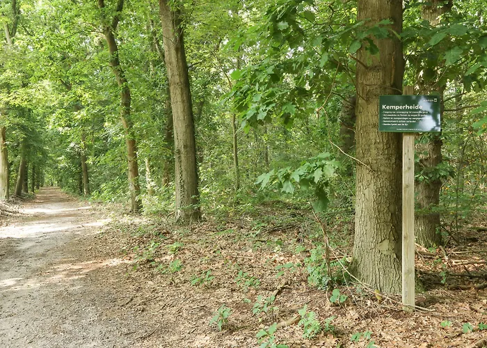 Adelaerthoeve Logies & Ontbijt