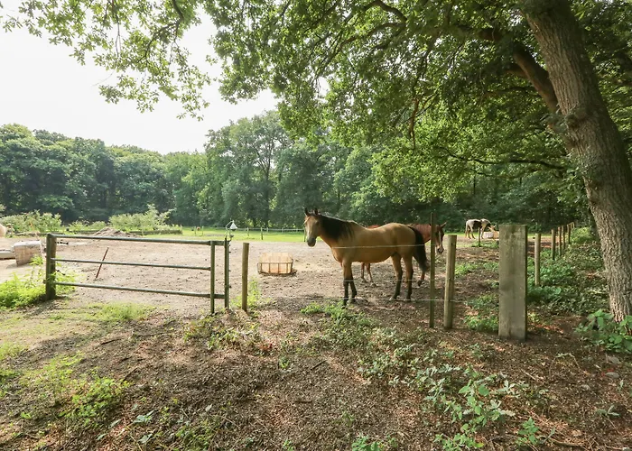 Adelaerthoeve Logies & Ontbijt לינה וארוחת בוקר 4*