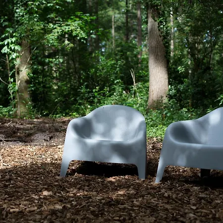 Adelaerthoeve Logies & Ontbijt