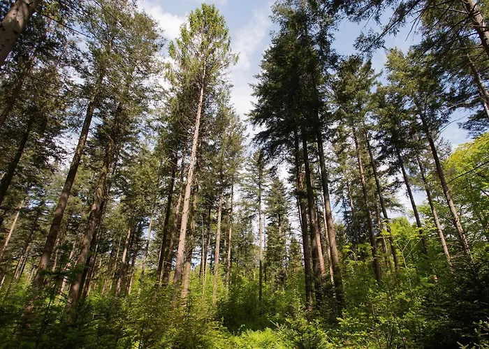 Frühstückspension Adelaerthoeve Logies & Ontbijt 4*