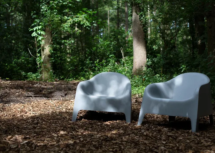 Adelaerthoeve Logies & Ontbijt